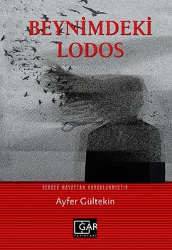 Beynimdeki Lodos Cover Beynimdeki Lodos