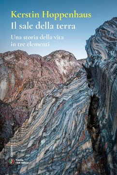 Il sale della terra. Una storia della vita in tre elementi - Hoppenhaus, Kerstin Il sale della terra. Una storia della vita in tre elementi - Hoppenhaus, Kerstin