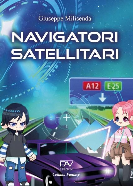 Navigatori satellitari Navigatori satellitari