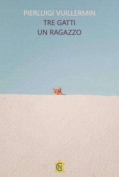 Tre gatti un ragazzo - Vuillermin, Pierluigi