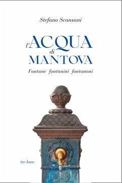 L' acqua di Mantova. Fontane fontanini fontanoni - Scansani, Stefano L' acqua di Mantova. Fontane fontanini fontanoni - Scansani, Stefano