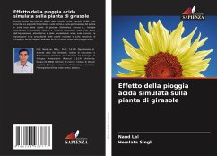 Cover Effetto della pioggia acida simulata sulla pianta di girasole