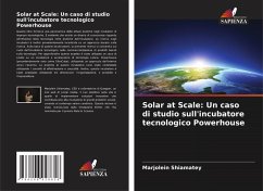 Cover Solar at Scale: Un caso di studio sull'incubatore tecnologico Powerhouse
