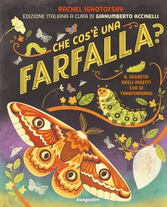 Cover Che cos'è una farfalla? Il segreto degli insetti che si trasformano
