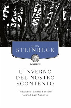 Cover L' inverno del nostro scontento