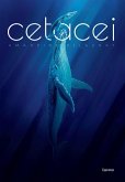 Cetacei. Album scoperte Cetacei. Album scoperte