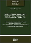 Il recupero dei crediti nell'ambito della P.A.