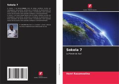 Cover Sokela 7