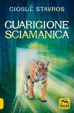 Guarigione sciamanica Guarigione sciamanica