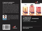 Il legamento parodontale - Anatomia e patologie