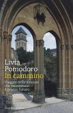 In cammino. Viaggio nelle abbazie che raccontano il nostro futuro In cammino. Viaggio nelle abbazie che raccontano il nostro futuro