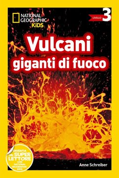 Vulcani giganti di fuoco. Livello 3 - Schreiber, Anne