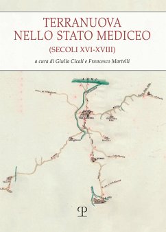 Cover Terranuova nello stato mediceo (secoli XVI-XVIII)