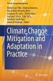 Climate Change Mitigation and Adaptation in Practice (eBook, PDF)
