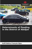 Determinants of flooding in the District of Abidjan