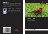 SOKELA 11 SOKELA 11
