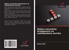 Cover Wp¿yw warunków brzegowych na roz¿adowanie ¿arnika