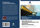 Behandlung von Schlachthofabwässern mit speziellen Bakterienstämmen Behandlung von Schlachthofabwässern mit speziellen Bakterienstämmen
