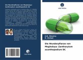 Die Wunderpflanze von Meghalaya: Zanthoxylum acanthopodium DC Die Wunderpflanze von Meghalaya: Zanthoxylum acanthopodium DC