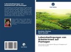 Lebensbedingungen von Arbeiterinnen auf Plantagen