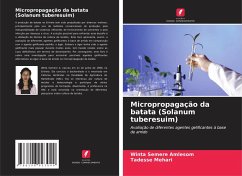 Micropropagação da batata (Solanum tuberesuim) - Amlesom, Winta Semere;Mehari, Tadesse