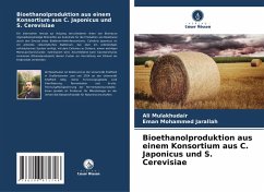 Cover Bioethanolproduktion aus einem Konsortium aus C. Japonicus und S. Cerevisiae
