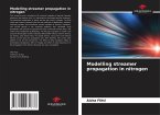 Modelling streamer propagation in nitrogen