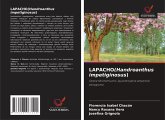 LAPACHO(Handroanthus impetiginosus) LAPACHO(Handroanthus impetiginosus)