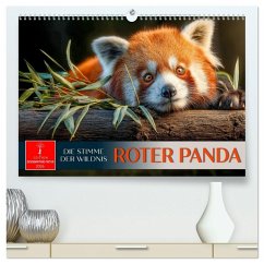 Roter Panda - die Stimme der Wildnis (hochwertiger Premium Wandkalender 2026 DIN A2 quer), Kunstdruck in Hochglanz