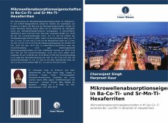 Cover Mikrowellenabsorptionseigenschaften in Ba-Co-Ti- und Sr-Mn-Ti-Hexaferriten