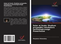 Cover Solar at Scale: Studium przypadku inkubatora technologicznego Powerhouse