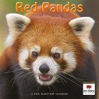 Red Pandas
