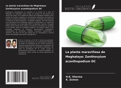 Cover La planta maravillosa de Meghalaya: Zanthoxylum acanthopodium DC