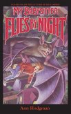 My Babysitter Flies By Night