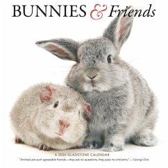 Cover Bunnies & Friends