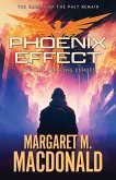 The Phoenix Effect Part 3 The Phoenix Effect Part 3
