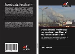 Ossidazione microbica del metano su diversi materiali biofiltranti - Wienke, Cindy Ossidazione microbica del metano su diversi materiali biofiltranti - Wienke, Cindy