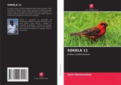 SOKELA 11 - Rasamoelina, Henri