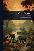 Wild Beasts Wild Beasts
