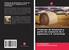 Cover Produção de bioetanol a partir do consórcio de C. Japonicus e S. Cerevisiae