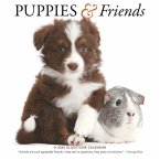 Puppies & Friends