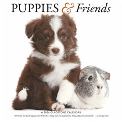 Cover Puppies & Friends
