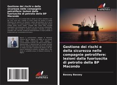Cover Gestione dei rischi e della sicurezza nelle compagnie petrolifere: lezioni dalla fuoriuscita di petrolio della BP Macondo