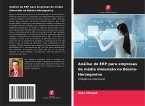 Análise do ERP para empresas de média dimensão na Bósnia-Herzegovina