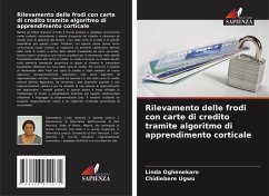Rilevamento delle frodi con carte di credito tramite algoritmo di apprendimento corticale - Oghenekaro, Linda; Ugwu, Chidiebere