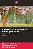 LAPACHO(Handroanthus impetiginosus)