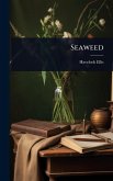 Seaweed Seaweed