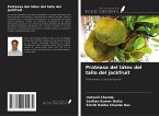 Proteasa del látex del tallo del jackfruit