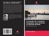 A invasão do 'camarão assassino' que ameaça os Norfolk Broads