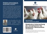 Molekulare Untersuchung der Toxoplasmose bei Beißläusen Menacanthus straminus Molekulare Untersuchung der Toxoplasmose bei Beißläusen Menacanthus straminus